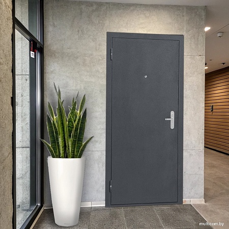 Металлическая дверь Guard Металл/металл Антик серебро (86x205, левая)