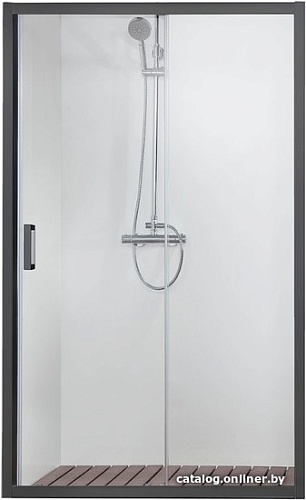 Душевая дверь Aquatek AQ ARI RA 10020BL 100x200 (черный/прозрачное стекло)