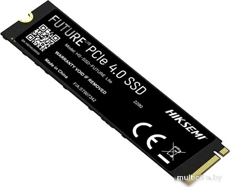 SSD Hiksemi Future Lite 4TB HS-SSD-FUTURE Lite 4096G