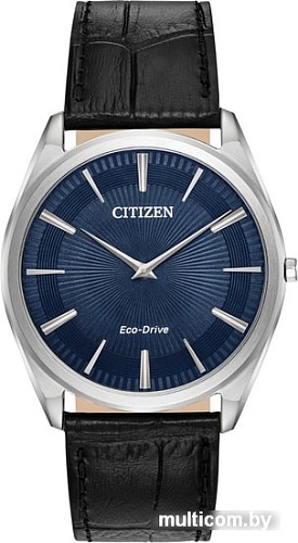 Наручные часы Citizen AR3070-04L