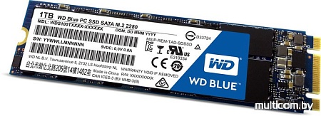 SSD WD Blue PC 1TB [WDS100T1B0B]