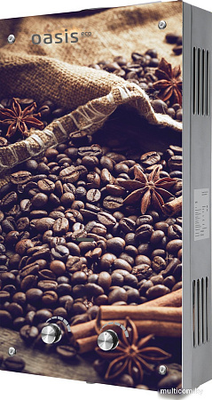 Газовая колонка Oasis Eco K-20