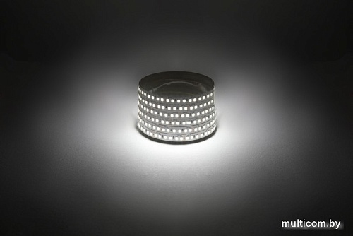 Светодиодная лента ЭРА LS2835 -14,4-180-12-4000K-IP20-1 year-5m дневной белый Б0059904