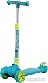 Самокат Novatrack Pro+ 2019 135H.RAINBOW.GN9 (синий/зеленый)