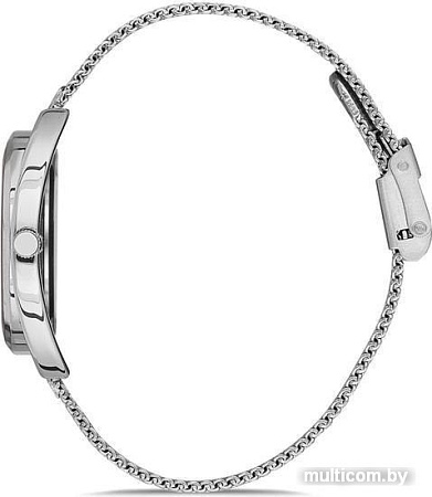 Наручные часы Daniel Klein DK12695-6