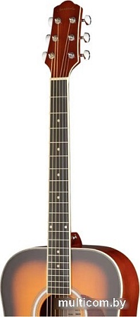 Акустическая гитара Naranda DG220BS