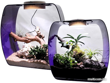Террариум Lucky Reptile Life Box LB-30P (фиолетовый)