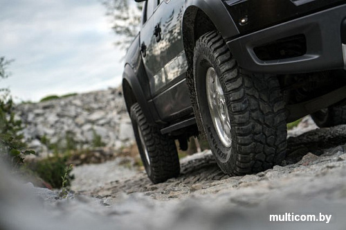 Автомобильные шины Nokian Rockproof 265/70R17 121/118Q