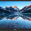 Монитор Philips 242B9TN/00