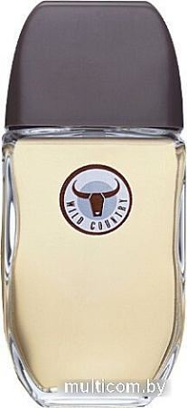 Туалетная вода Avon Wild Country EdT (75 мл)