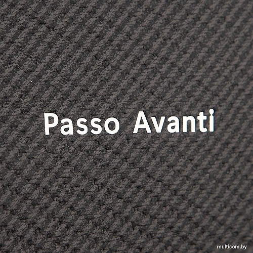 Passo Avanti 758-A5564-BLK (черный)