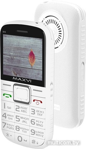 Мобильный телефон Maxvi B5 (белый)