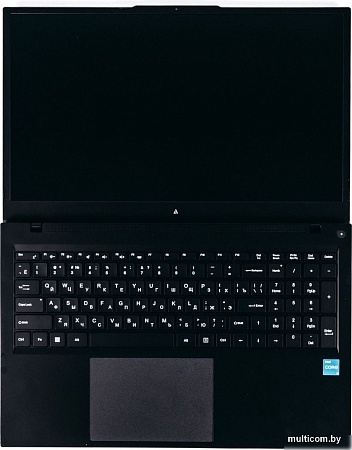 Ноутбук ACD 17S G2 AH17S3386WB