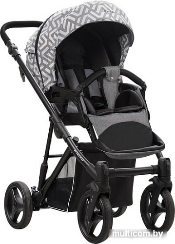 Универсальная коляска BEBETTO Nitello (2 в 1, 03)