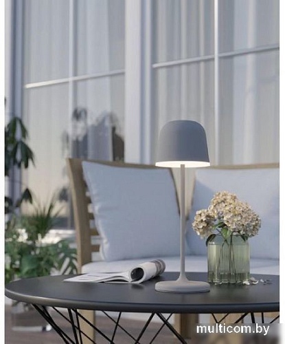 Садовый светильник Eglo Mannera 900458