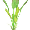 Искусственное растение Barbus Эхинодорус Блейхери Plant 037/20 (зеленый)