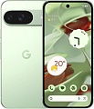 Телефон Google Pixel 9 12GB/256GB (винтергрин)