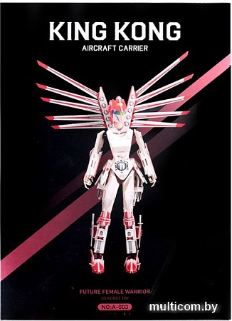 3Д-пазл Darvish Future Female Warrior SR-T-3344