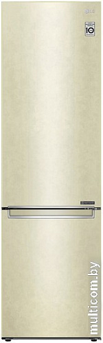 Холодильник LG DoorCooling+ GC-B509SECL