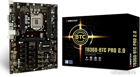 Материнская плата BIOSTAR TB360-BTC PRO 2.0 Ver. 6.x