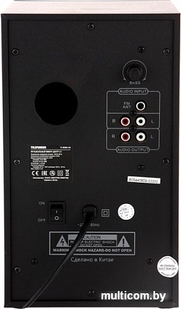 Акустика TELEFUNKEN TF-MSM2.102