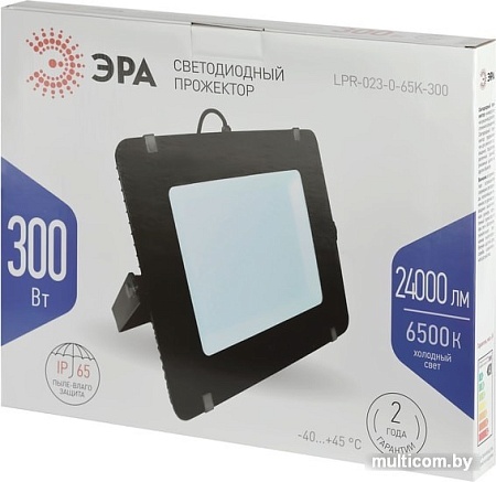 Уличный прожектор ЭРА LPR-023-0-65K-300