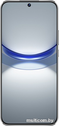 Смартфон Huawei nova 12s FOA-LX9 8GB/256GB (белый)