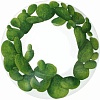 Тарелка глубокая Taitu Cactus 5-5-5