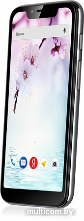 Смартфон Fly View Max (графит)