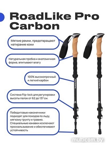 RoadLike Carbon 381223 (черный)