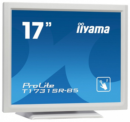 Монитор Iiyama ProLite T1731SR-5