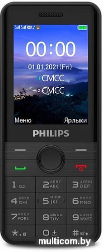 Смартфон Philips Xenium E172 (черный)