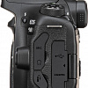 Зеркальный фотоаппарат Canon EOS 90D Body (черный)