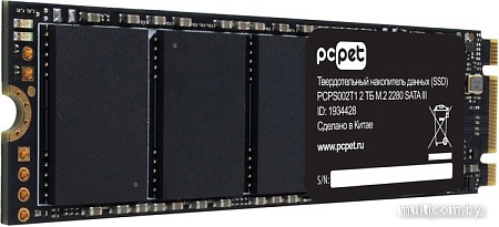 SSD PC Pet 2TB PCPS002T1