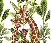 Фотообои Citydecor Веселая семейка с защитным покрытием 300x260