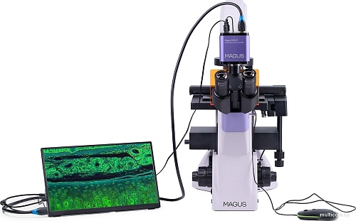 Микроскоп Magus Lum VD500L LCD 83023