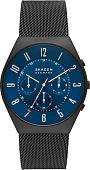 Наручные часы Skagen Grenen SKW6841