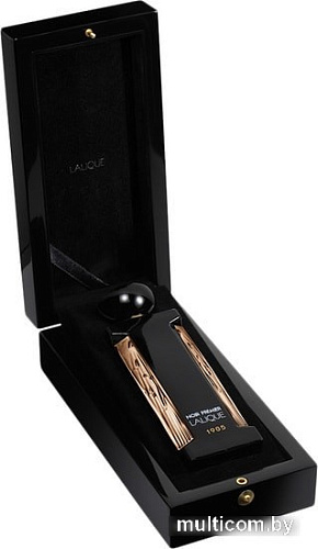 Lalique Noir Premier Terres Aromatiques EdP (100 мл)