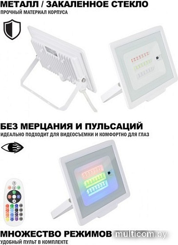 Уличный прожектор ArtStyle CL-E008EI-30W