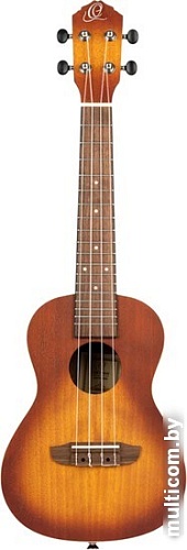 Укулеле Ortega Earth RUDAWN