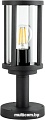 Arte Lamp A1036FN-1BK