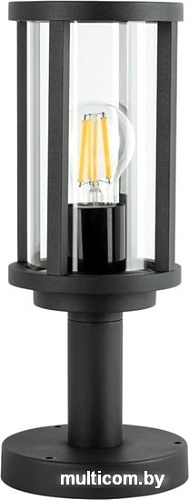 Arte Lamp A1036FN-1BK