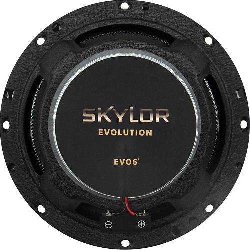 Коаксиальная АС Skylor EVO6