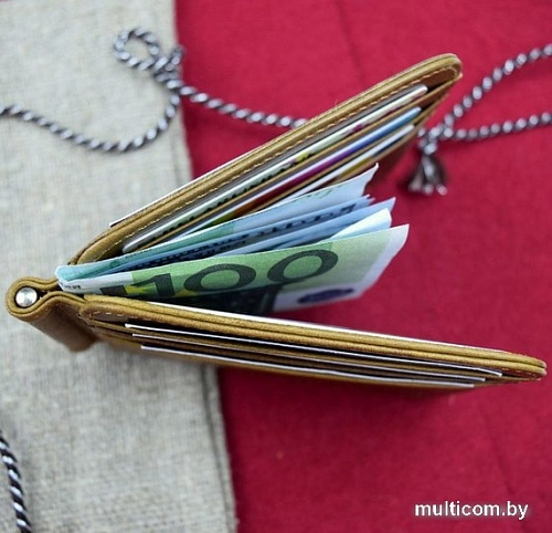 Зажим для денег EZcase Fotis (песочный)