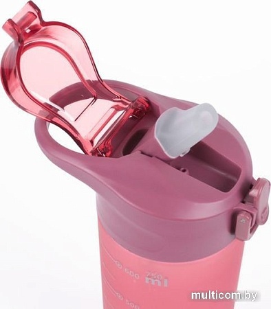 Бутылка для воды Darvish DV-H-1605-2 750мл (розовый)