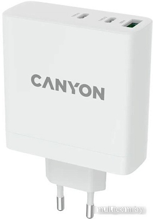 Сетевое зарядное Canyon H-140-01