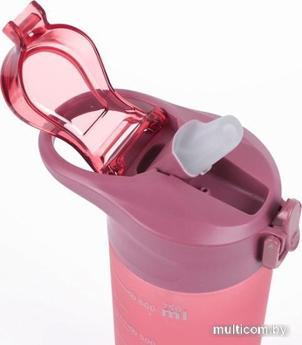 Бутылка для воды Darvish DV-H-1605-2 750мл (розовый)