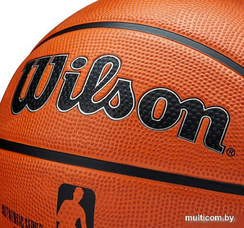 Баскетбольный мяч Wilson NBA Authentic Series Outdoor (5 размер)