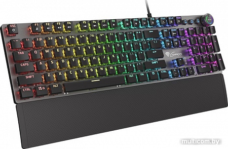Клавиатура Genesis Thor 401 RGB (нет кириллицы)