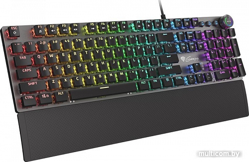 Клавиатура Genesis Thor 401 RGB (нет кириллицы)